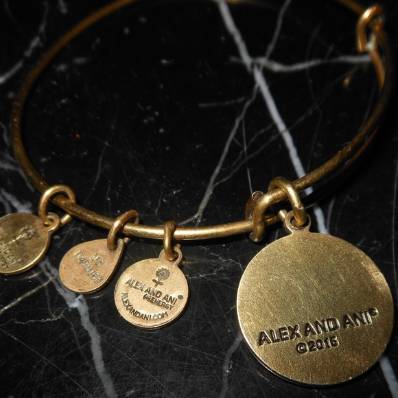 Alex And Ani Completely Blessed Religious Charm Co - Picture 5 of 5